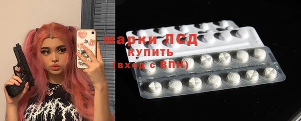 прущие грибы Белокуриха