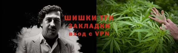 прущие грибы Белокуриха