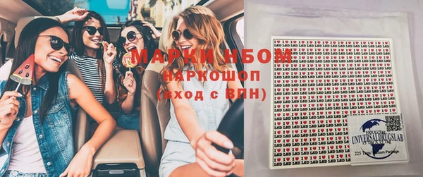 прущие грибы Белокуриха