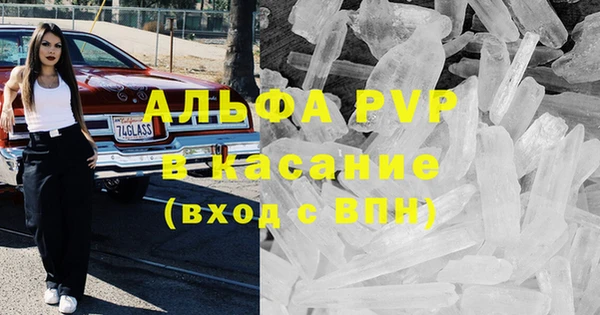 прущие грибы Белокуриха