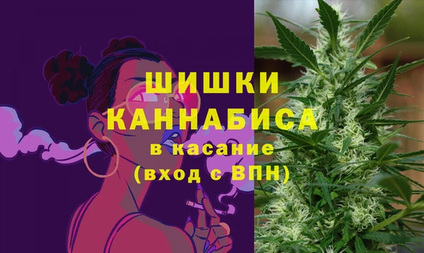 PSILOCYBIN Белоозёрский