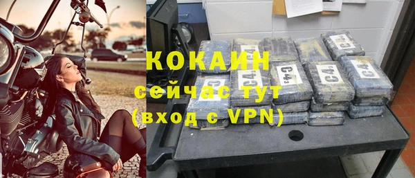 прущие грибы Белокуриха