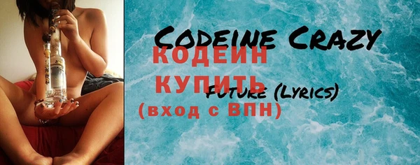 индика Сясьстрой