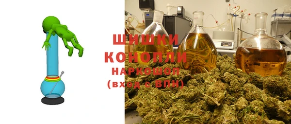 прущие грибы Белокуриха