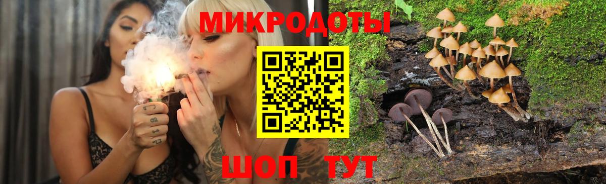 Псилоцибиновые грибы прущие грибы  Вход с VPN  Городец 