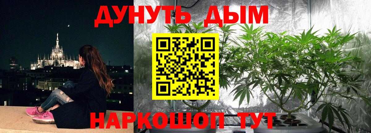 Бошки марихуана Amnesia  Марихуана SATIVA & INDICA  Городец  Конопля SATIVA & INDICA  Вход с VPN 